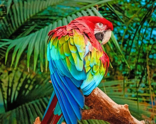Red And Green Macaw Painting By Numbers Kits