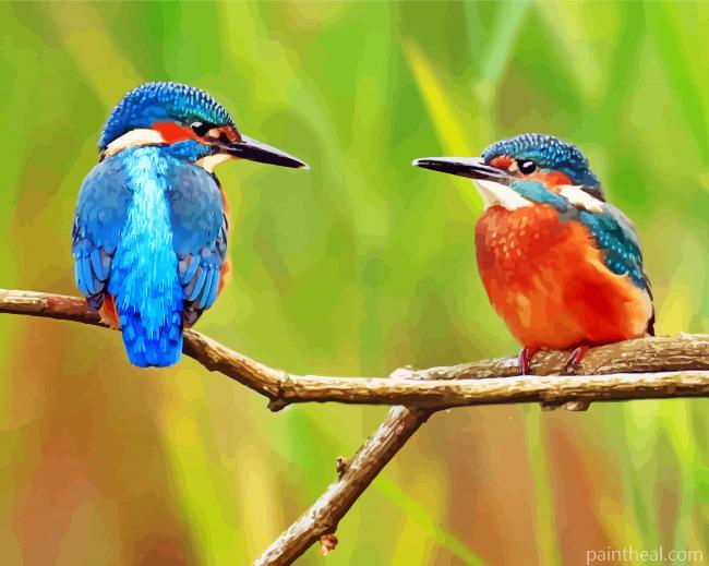 Kingfishers Bird Painting By Numbers Kits