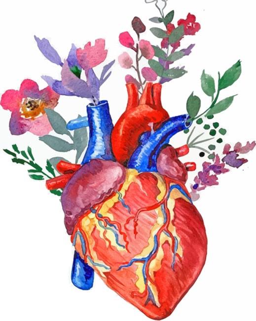 Floral Anatomical Heart Painting By Numbers Kits