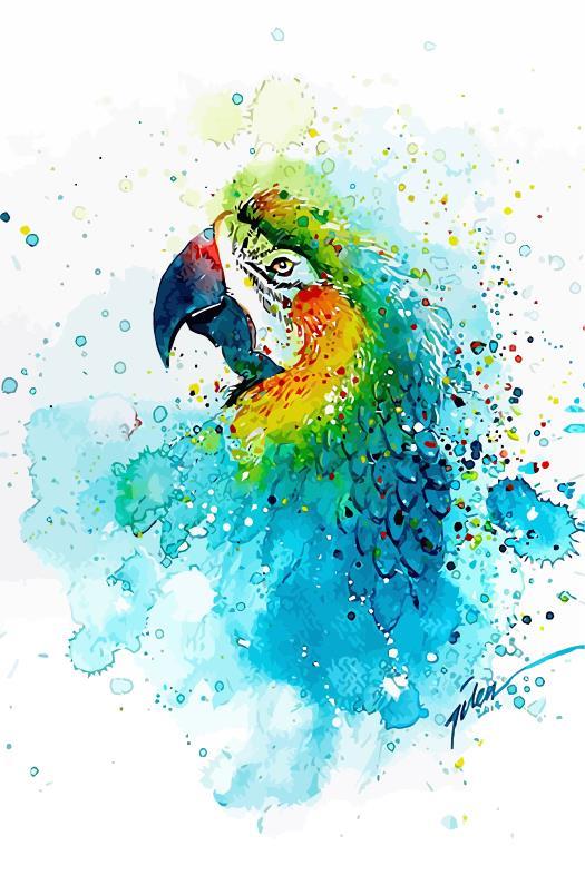 Splashed Parrot Painting By Numbers Kits