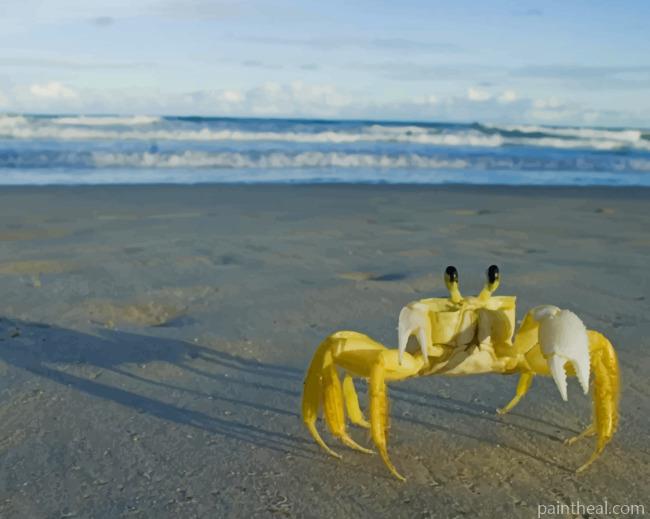 Yellow Crab On Beach Painting By Numbers Kits