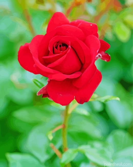 Red Lilac Rose Painting By Numbers Kits