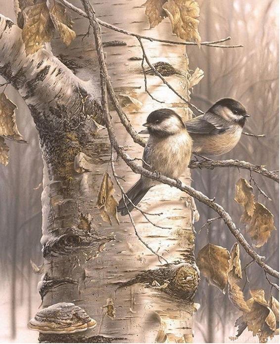 Birds In The Forest Painting By Numbers Kits