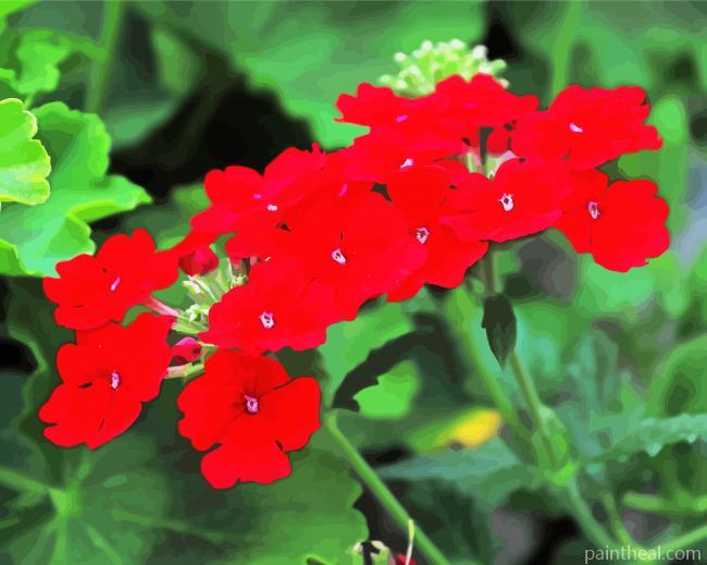 Red Verbena Flowering Plant Painting By Numbers Kits