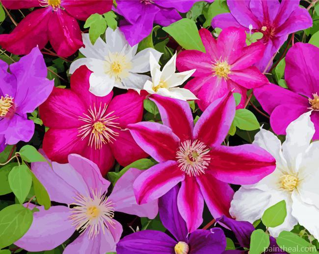 Colorful Flowers Garden Painting By Numbers Kits