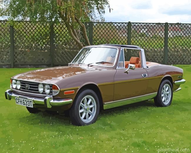 Brown Triumph Stag Painting By Numbers Kits