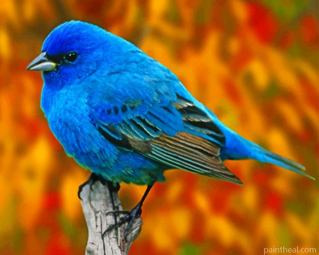 Blue Finch Bird Painting By Numbers Kits