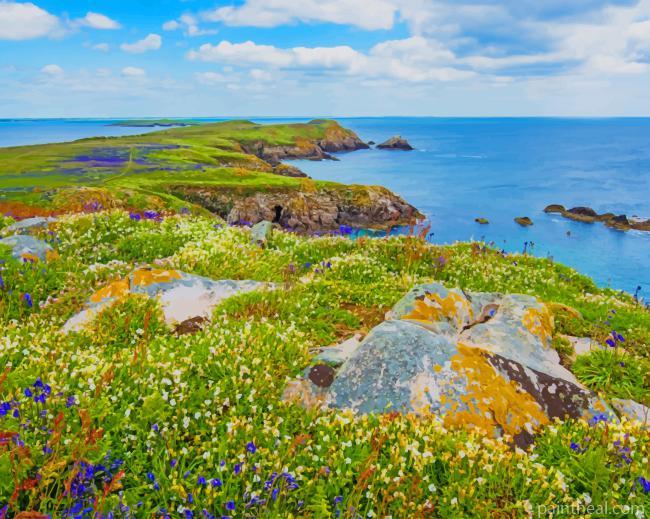 Saltee Island Great Ireland Painting By Numbers Kits
