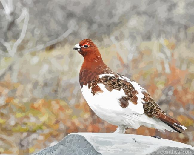 Willow Ptarmigan Bird Painting By Numbers Kits