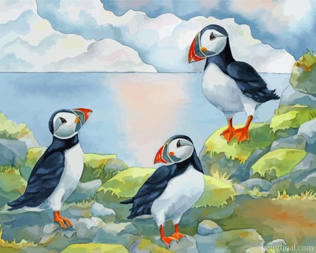 Puffin Birds Family Painting By Numbers Kits