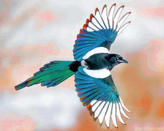 Flying Magpie Painting By Numbers Kits