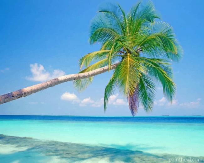 Palm Tree And Azure Water Painting By Numbers Kits