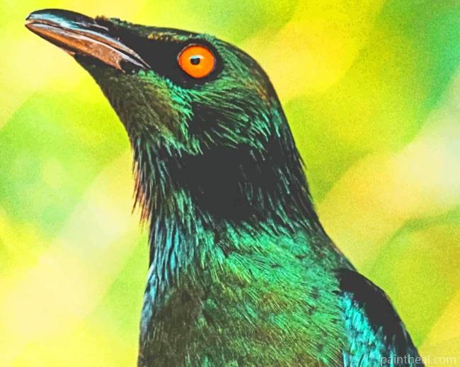 Starling Bird Painting By Numbers Kits