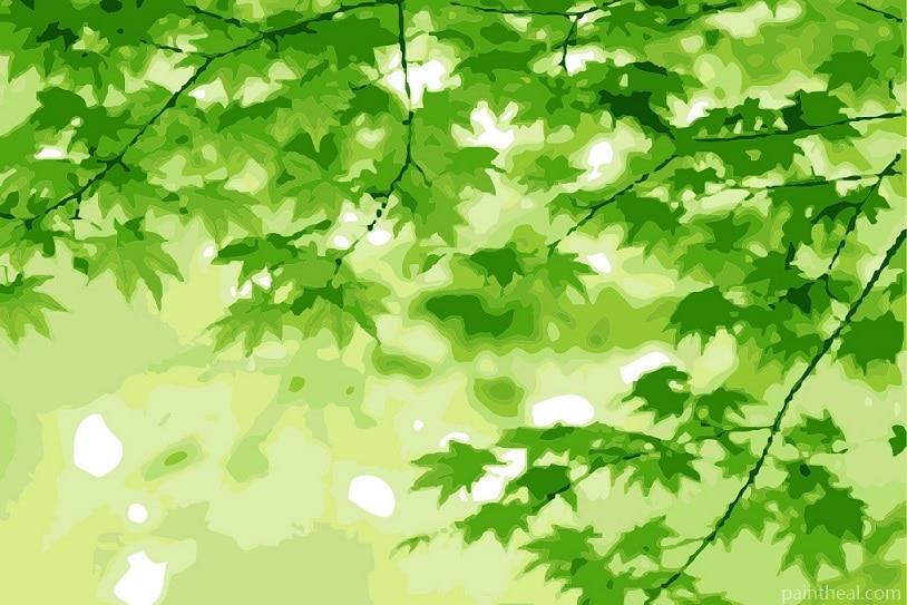 Green Plant Leaves Painting By Numbers Kits