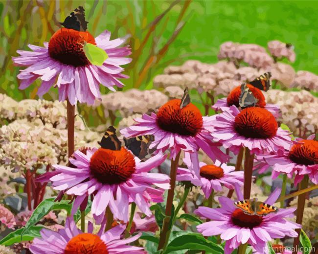 Echinacea Painting By Numbers Kits