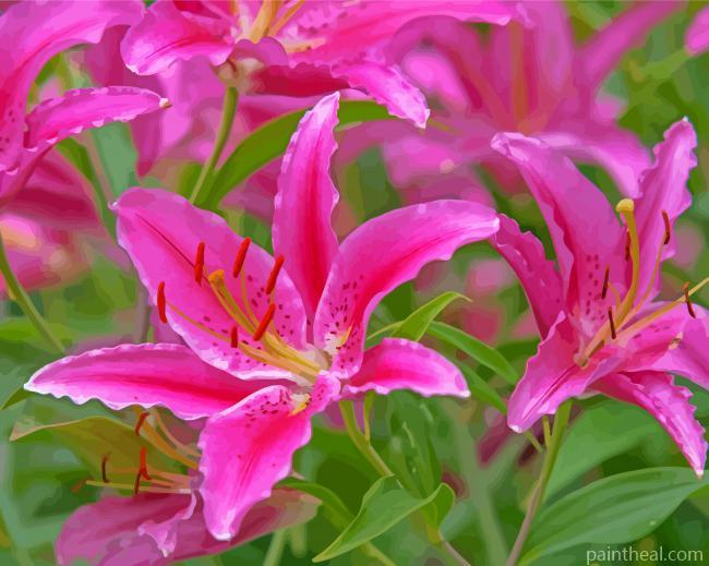 Pink Lilies French Flowers Painting By Numbers Kits