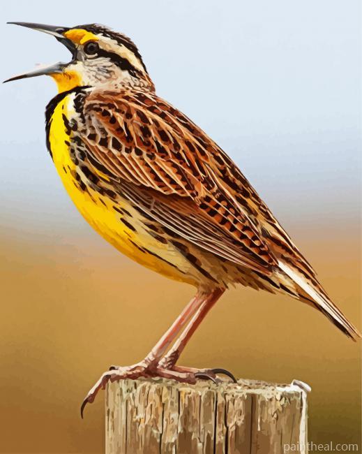 The Meadowlark Bird Painting By Numbers Kits