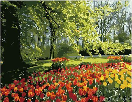 Spring Tulips In Garden Painting By Numbers Kits