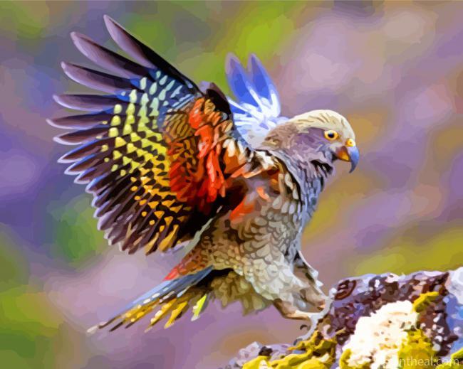 Kea Bird With Colorful Wings Painting By Numbers Kits