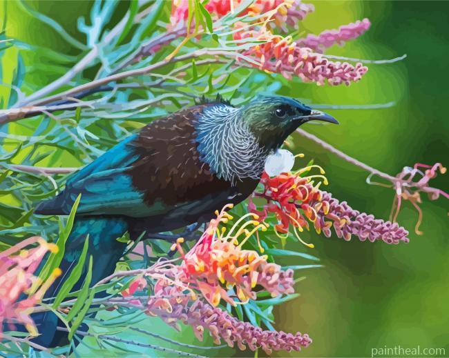 Honeyeater Tui Bird Painting By Numbers Kits