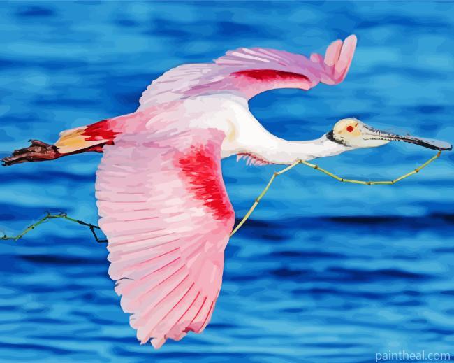 Pink Roseate Spoonbills Painting By Numbers Kits
