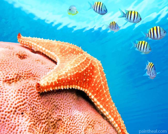 Starfish Deep In The Sea Painting By Numbers Kits