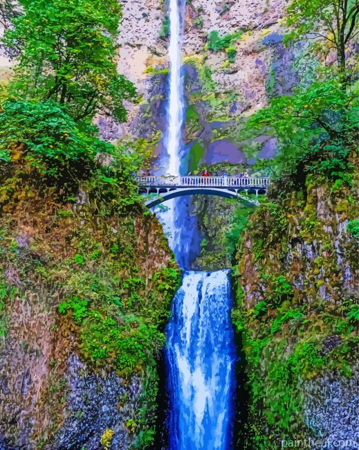 Multnomah Nature Painting By Numbers Kits