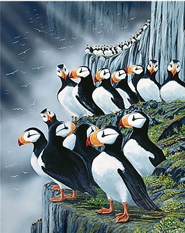Horned Puffins Painting By Numbers Kits