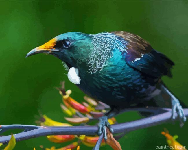 Honeyeater Tui On Branch Painting By Numbers Kits