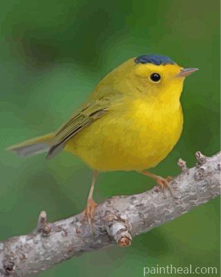 Yellow Canary Bird Painting By Numbers Kits