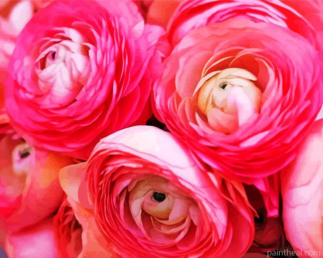French Peony Flowers Painting By Numbers Kits