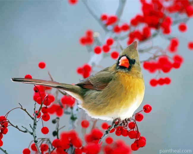 Aesthetic Bird And Red Berries Painting By Numbers Kits