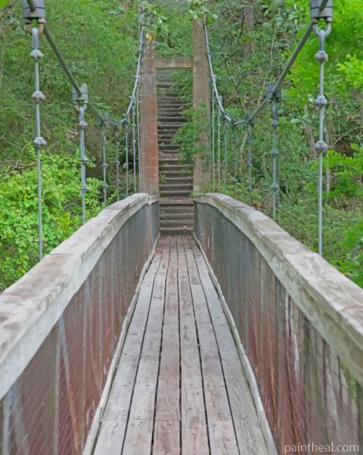 Ravine Walk in Florida Painting By Numbers Kits