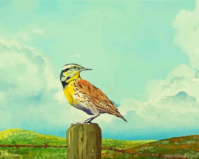 Western Meadowlark Art Painting By Numbers Kits