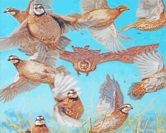 Quail Hunter Painting By Numbers Kits