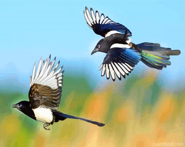 Flying Magpies Birds Painting By Numbers Kits