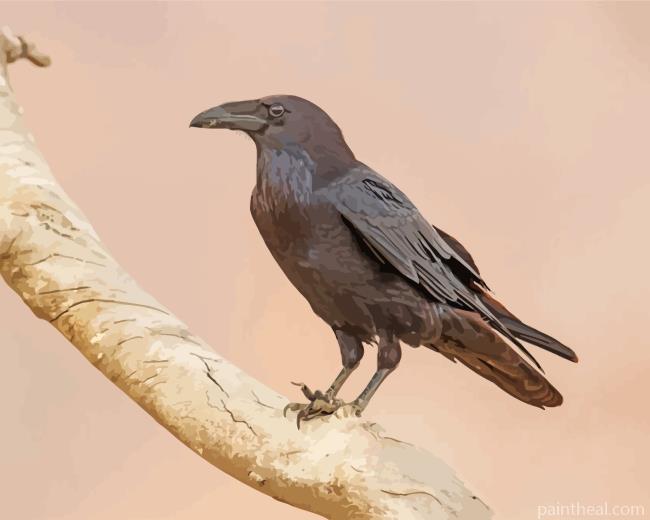 Raven On Branch Painting By Numbers Kits