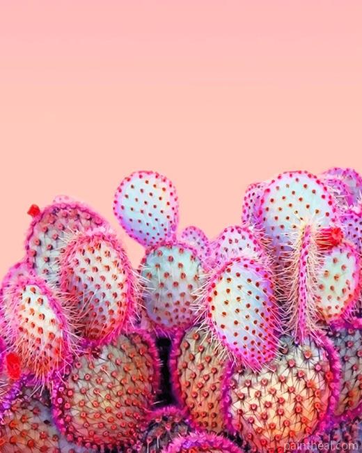 Pink Cactus NEW Painting By Numbers Kits