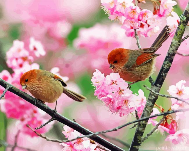 Birds And Cherry Blossom Flowers Painting By Numbers Kits