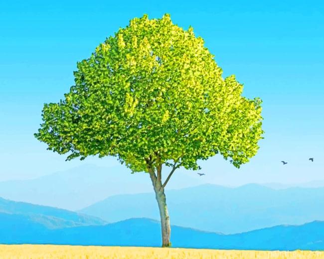 Tree On Corn Horizon Painting By Numbers Kits