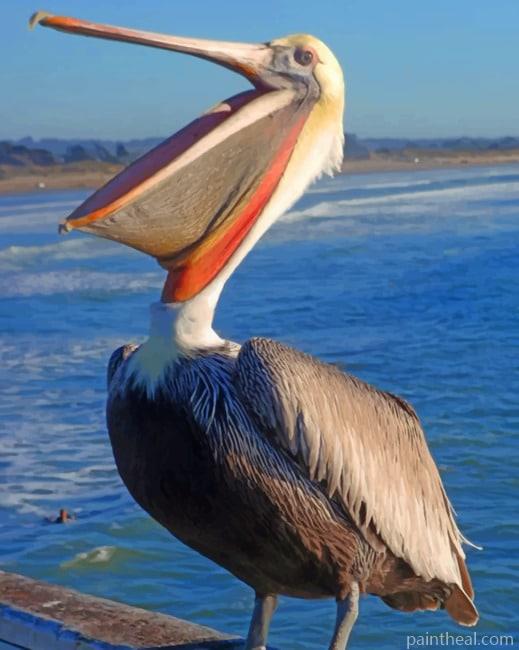 Brown Pelican Painting By Numbers Kits