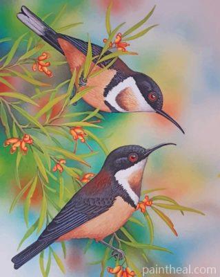 Bee Hummingbirds Painting By Numbers Kits