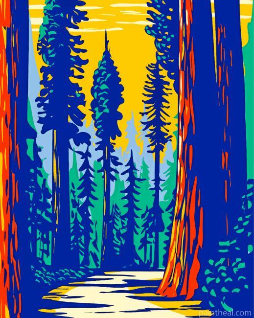 Illustration Redwoods Park Painting By Numbers Kits