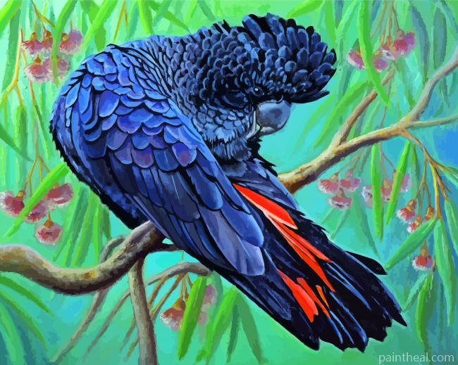 Red Tailed Black Cockatoo Bird Painting By Numbers Kits