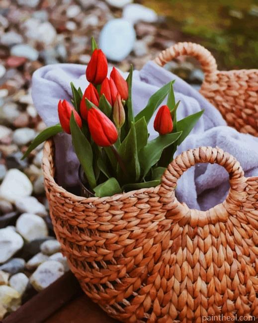 Red Tulips On Classic Basket Painting By Numbers Kits