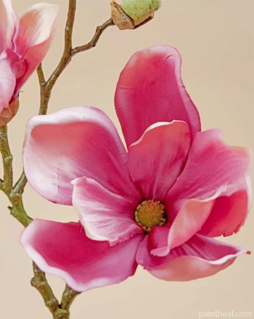 Pink Magnolia Painting By Numbers Kits