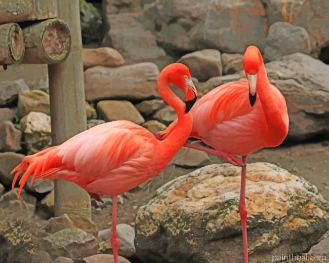 Tall Pink Flamingos Painting By Numbers Kits