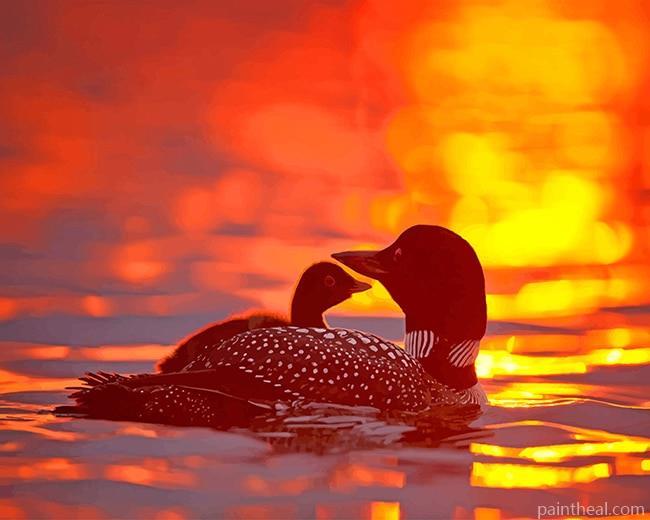 Loons Birds At Sunset Painting By Numbers Kits