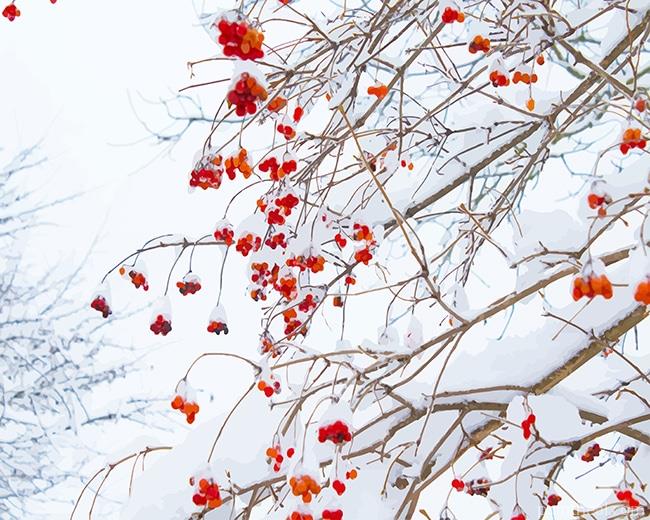 Snowy Red Flowers Tree Painting By Numbers Kits