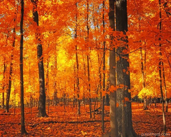 Forest Trees Autumn Painting By Numbers Kits